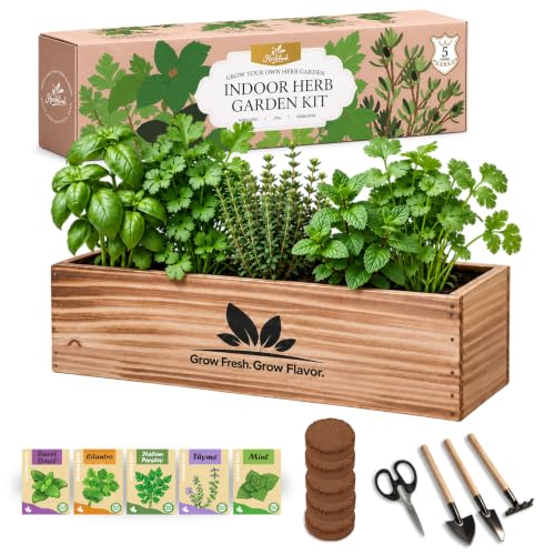 Herblink Indoor Herb Garden Starter Kit, Unique Gifts 5 Herb Garden Planter Indoor Kit with Wooden Box Including Basil, Cilantro, Thyme, Parsley, Mint, Fresh Herb Garden, Gardening Gifts for Women