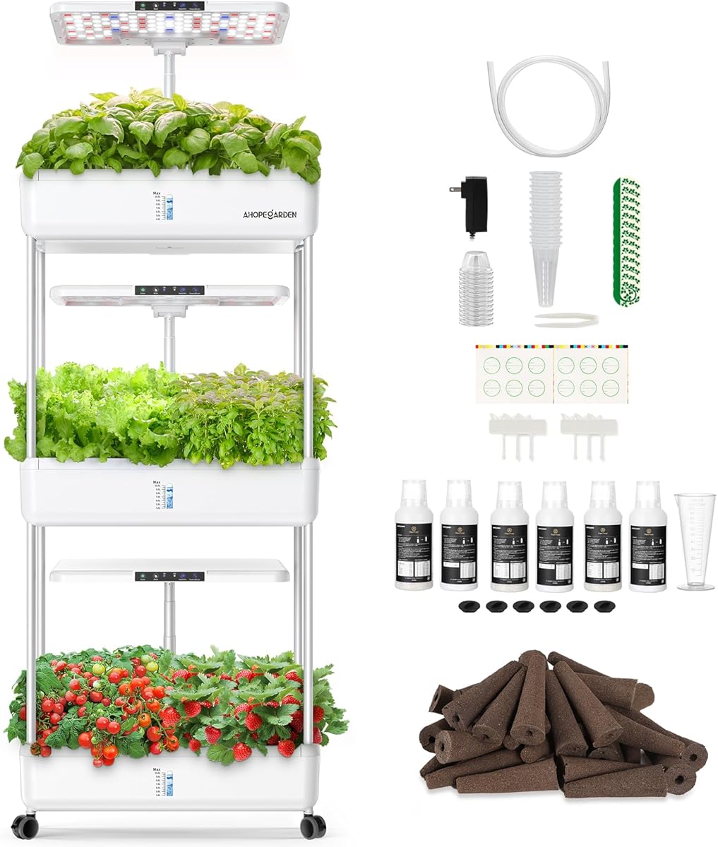 How to Start an Indoor Garden: A Beginner's Guide