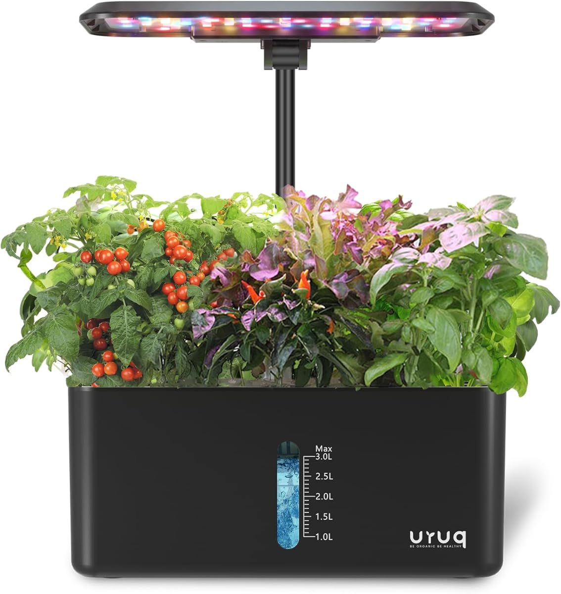 Coco Coir vs Soil: Which is Better for Indoor Potting?