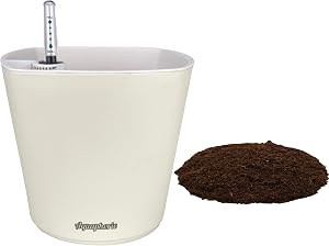 Window Garden Aquaphoric Self Watering Planter (7”) + Fiber Soil = Foolproof Indoor Garden