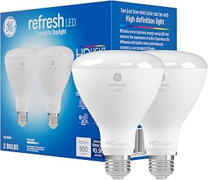 GE Refresh LED Light Bulbs, 65 Watt, Daylight, BR30 Indoor Floodlights (2 Pack)