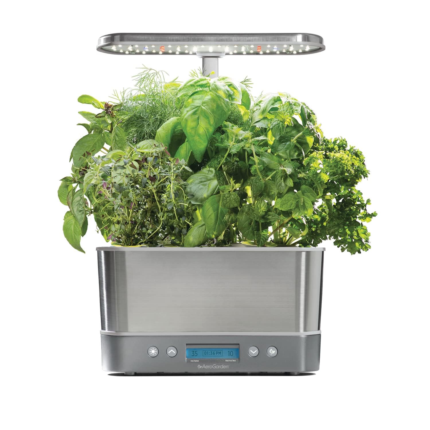 AeroGarden Harvest Elite Indoor Garden Hydroponic System with LED Grow — Our hands-on testing setup for aerogarden vs click and gr