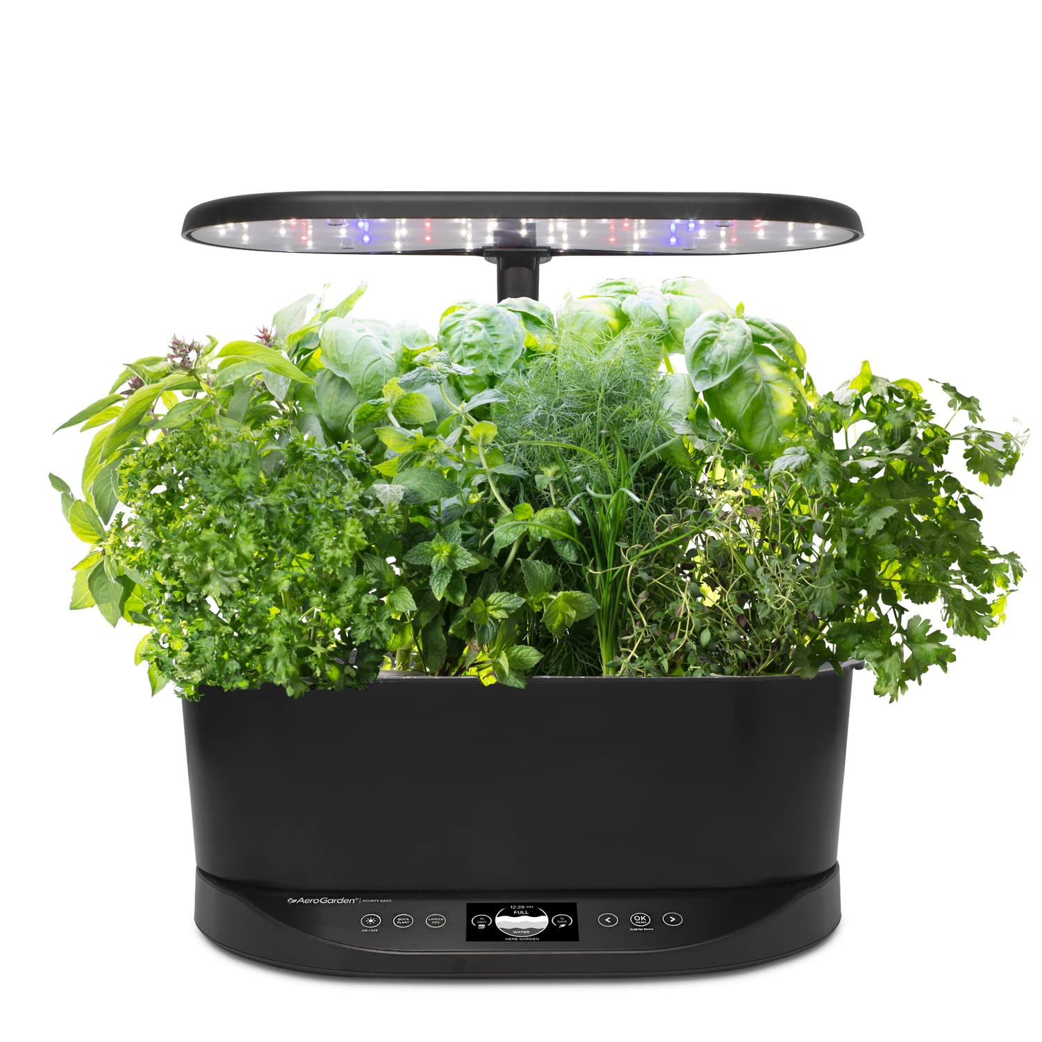 AeroGarden Bounty Basic - Indoor Garden with LED Grow Light, Black — Real-world performance testing in action