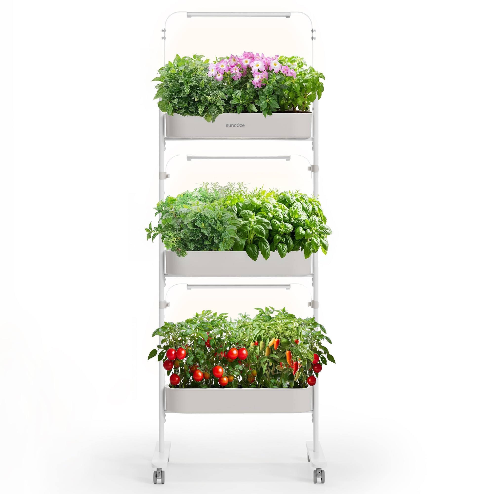 SUNCOZE 3-Tier Hydroponics Growing System Kit with 36 Pods – Full Spec — Side-by-side comparison of top picks in this category