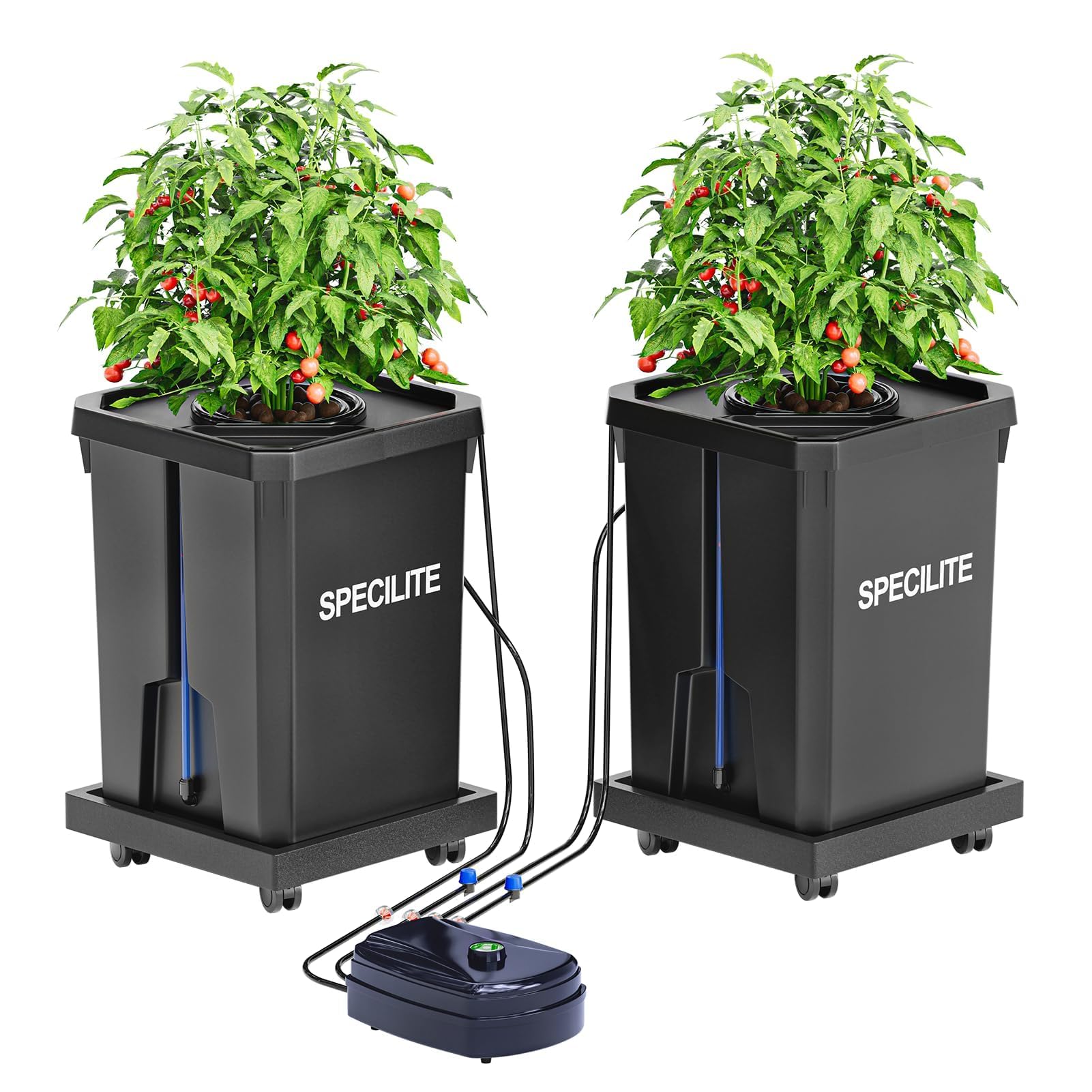 SPECILITE DWC Hydroponics Grow System with Top Drip Kit, 7 Gallon 2 Bu — Our hands-on testing setup for grow vegetables indoors us