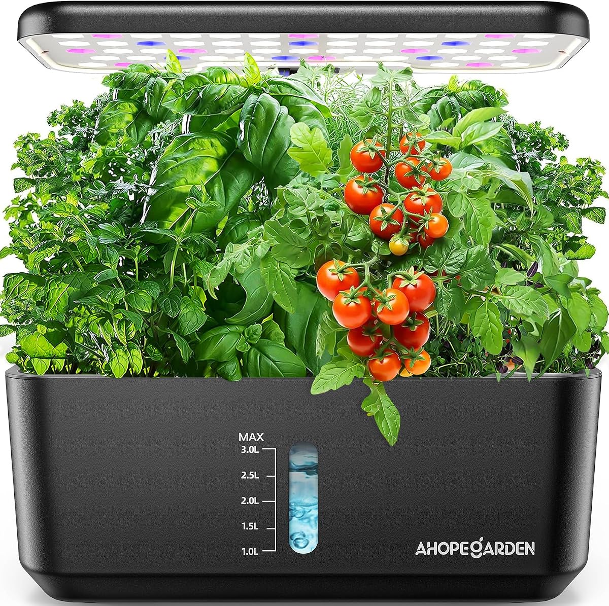 Top Grow Lights for Indoor Plants - 2026 Review