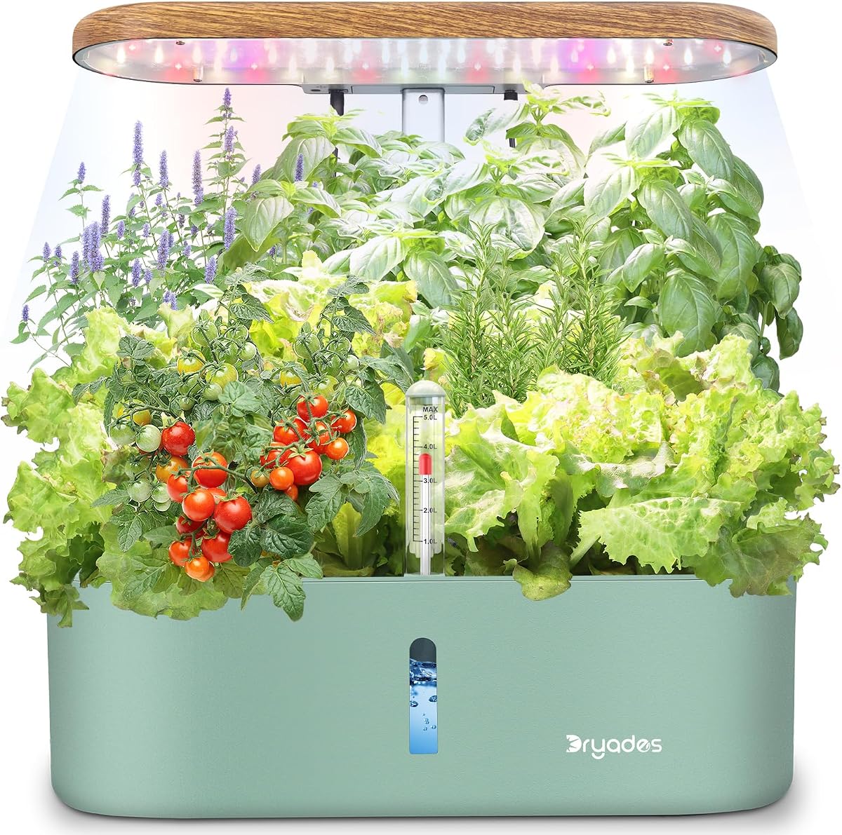 The Ultimate Guide to Hydroponics for Home Gardeners