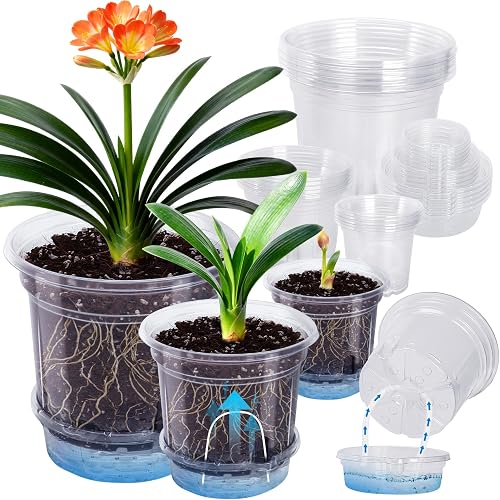 MIXC 18 Packs 6.5/5/4 Inch Self Watering Pots for Indoor Plants - Clea — Final verdict and top picks lineup