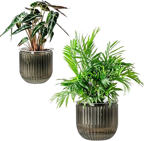Melphoe Self Watering Pots for Indoor Plants Planter, 6.5/5.3 Inch 2 P — Our recommended pick for most buyers