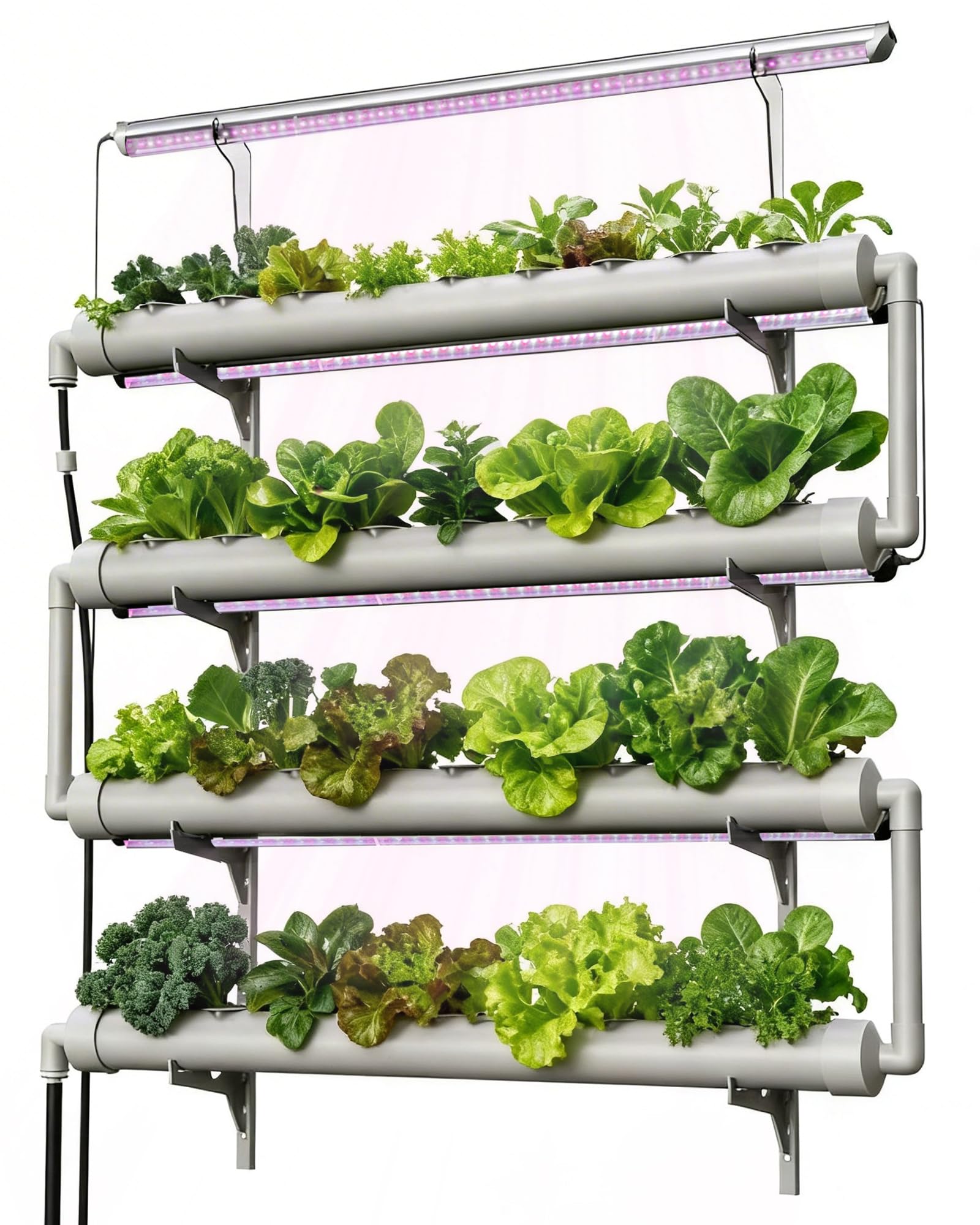 NFT Hydroponics Growing System，36 Pods Wall-Mounted Indoor Garden，Full — Our hands-on testing setup for aerogarden vs click and gr
