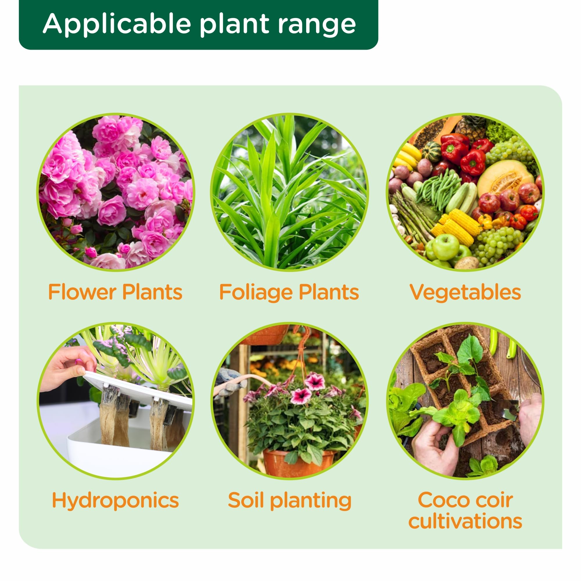 Hapxalie Hydroponic Nutrients, Comprehensive Nutrient Solution, Hydrop — Our hands-on testing setup for hydroponics nutrient solut