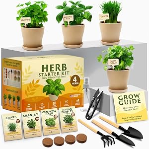 HOME GROWN Herb Garden Planter Indoor Kit – Unique Christmas Gift for Adults, Men, & W
